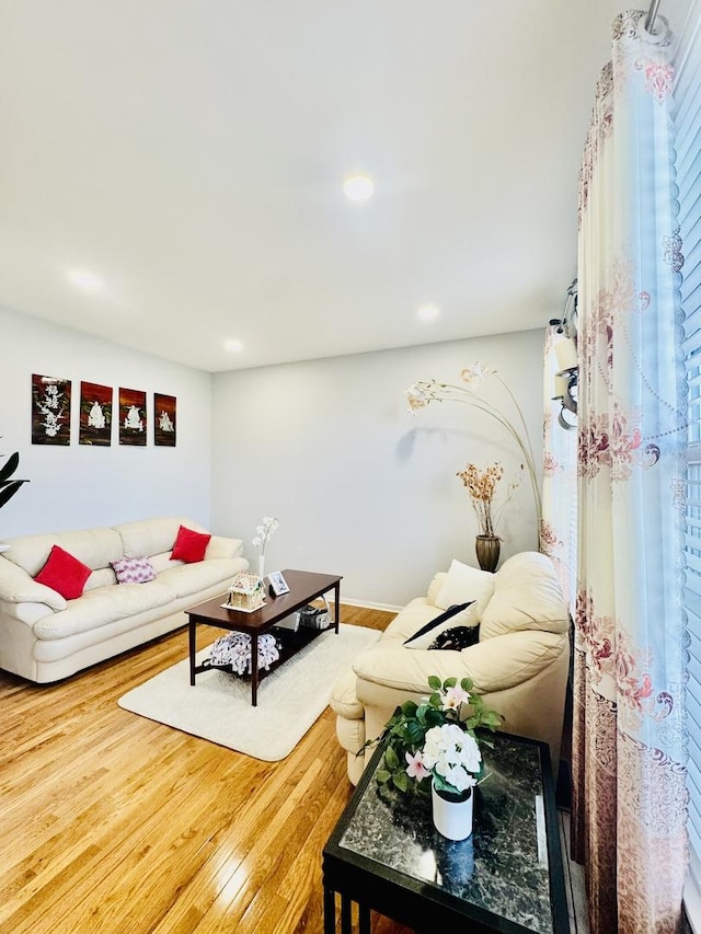 living room with wood-type flooring