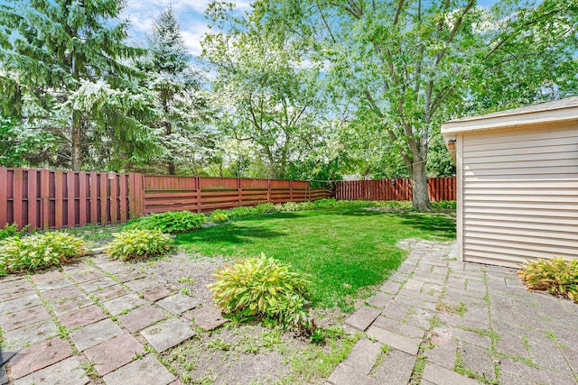 view of yard featuring a patio area