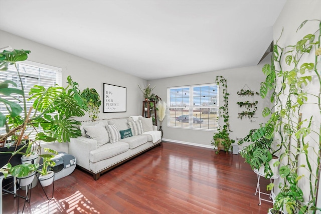 living room with dark hardwood / wood-style flooring