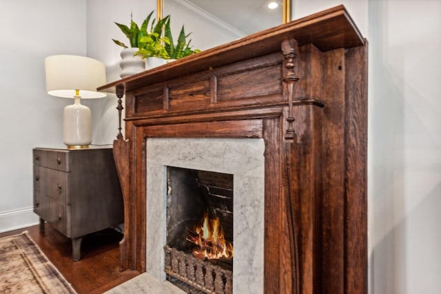 room details featuring ornamental molding, wood-type flooring, and a premium fireplace