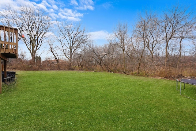 view of yard with a trampoline