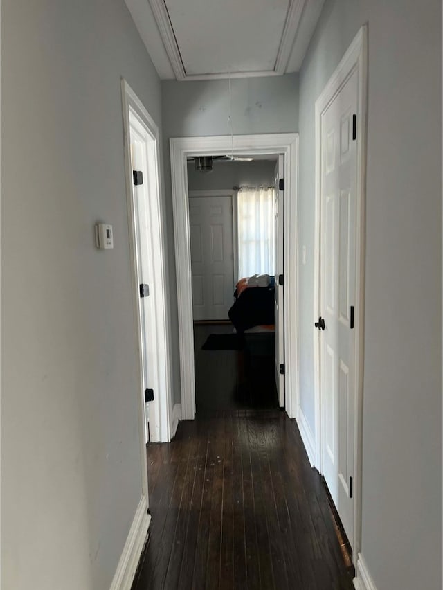 corridor featuring dark hardwood / wood-style floors