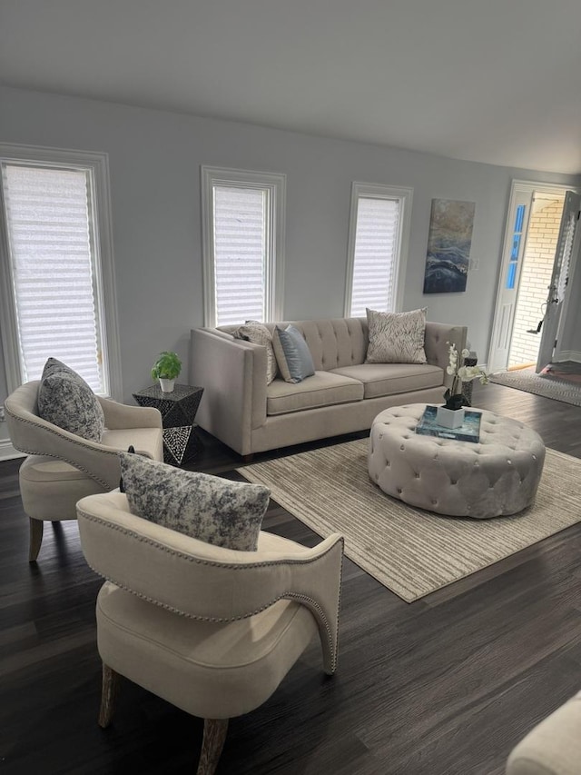 living room featuring dark hardwood / wood-style floors