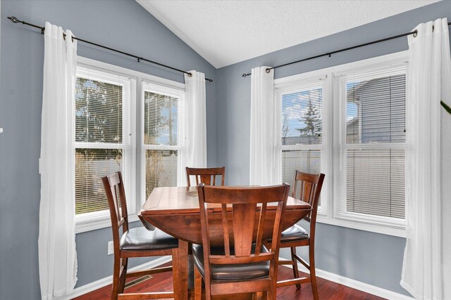 dining space with lofted ceiling, a textured ceiling, and dark hardwood / wood-style flooring