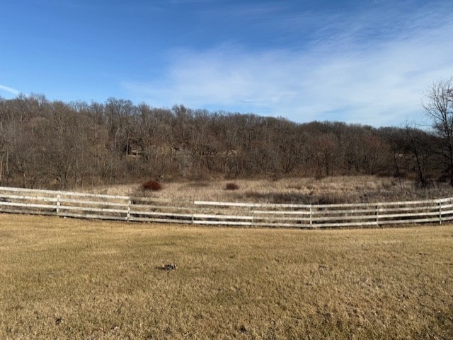 view of yard with a rural view