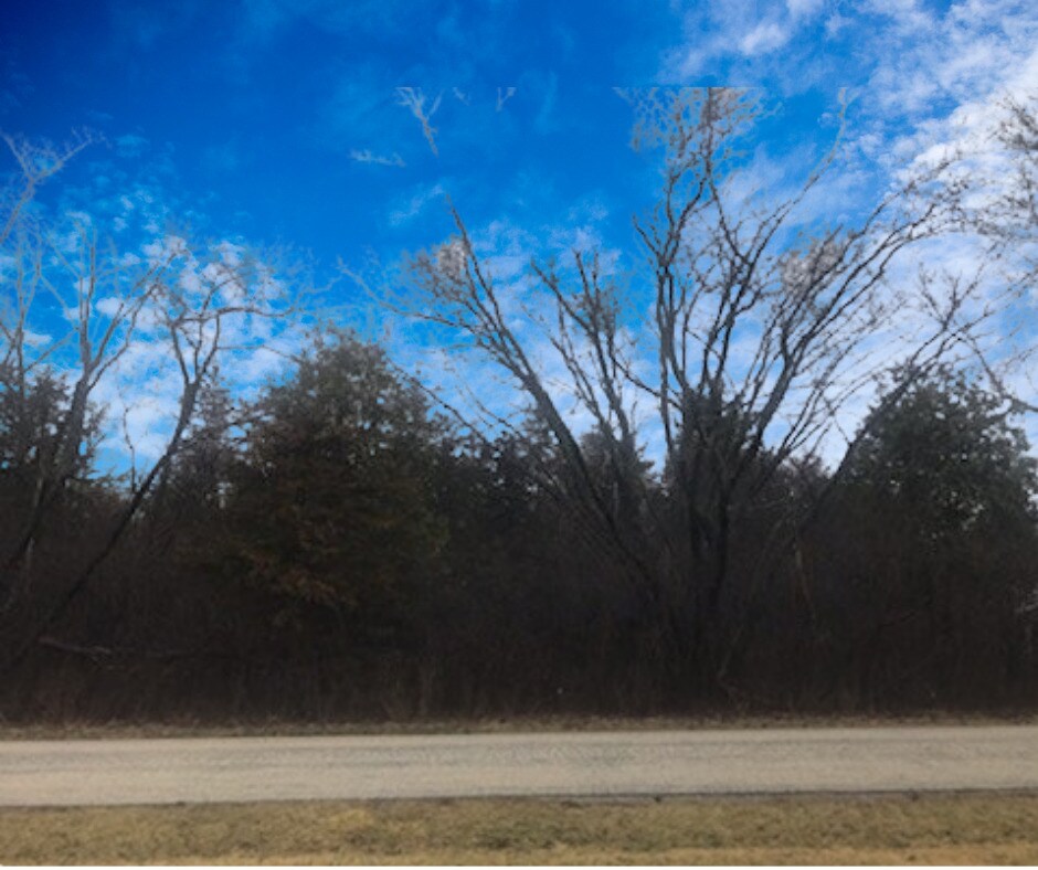 LOT16 Harding Ave, Richmond, IL 60071 - photo 1