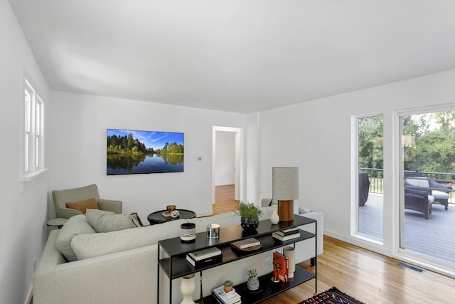 living room featuring wood-type flooring