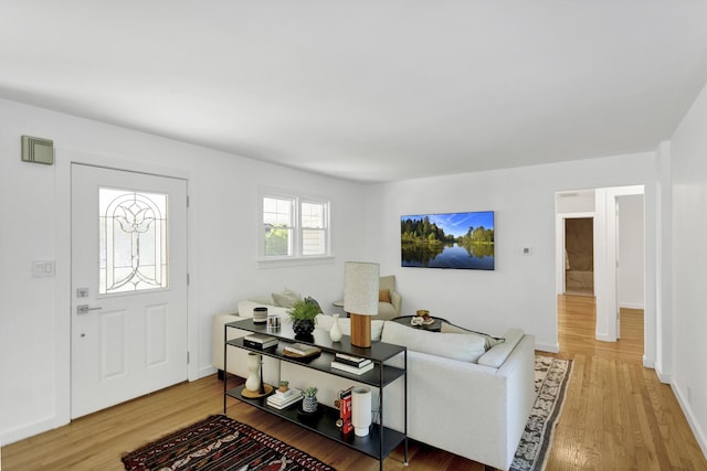 living room featuring hardwood / wood-style flooring