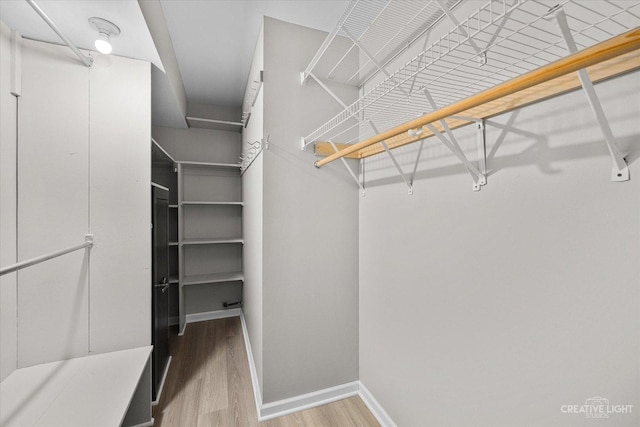 spacious closet featuring hardwood / wood-style flooring