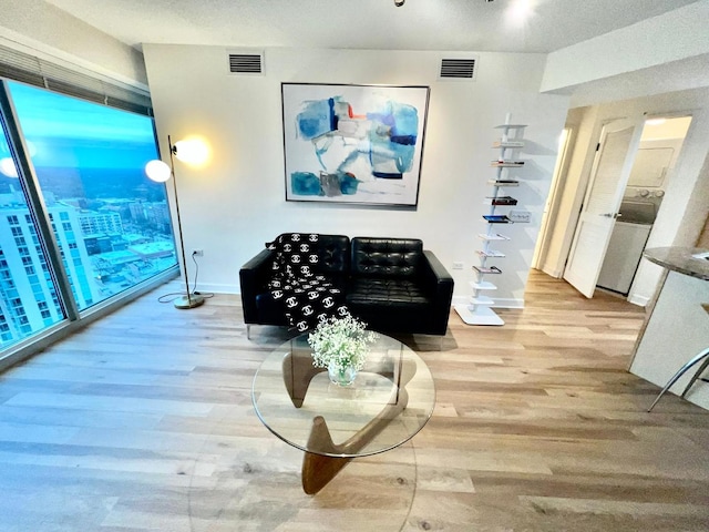 living room featuring light hardwood / wood-style floors