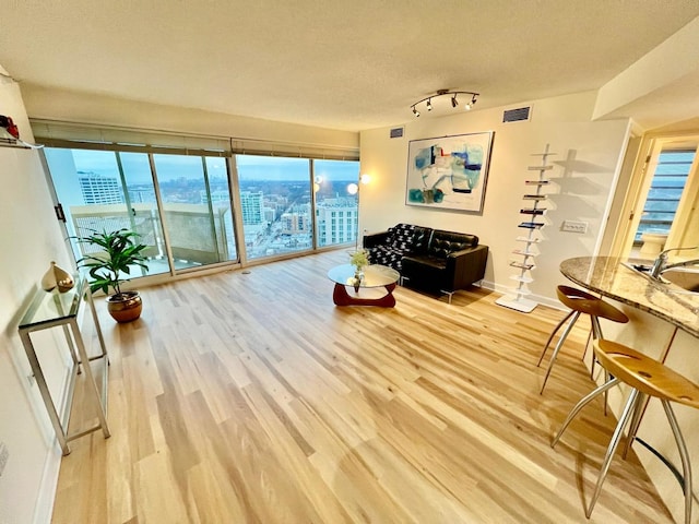 living room with sink and light wood-type flooring