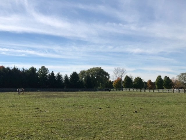 view of yard with a rural view