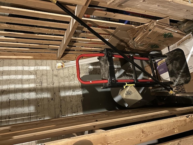 view of unfinished attic