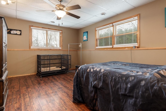 bedroom with a drop ceiling, dark hardwood / wood-style flooring, and ceiling fan