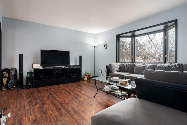 living room featuring hardwood / wood-style floors