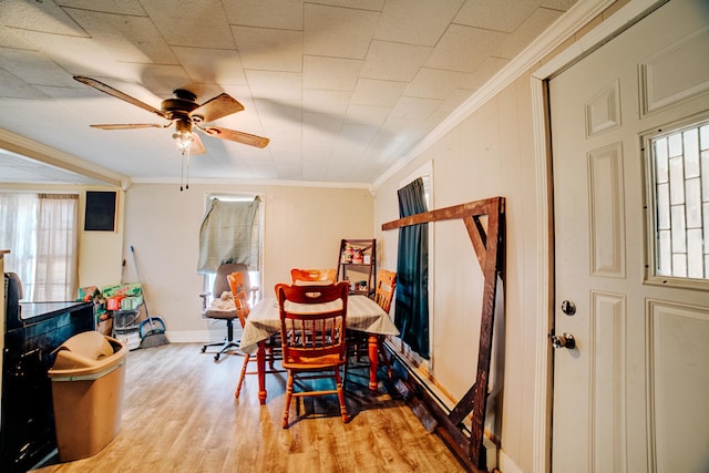 dining area featuring ornamental molding, ceiling fan, and light hardwood / wood-style floors