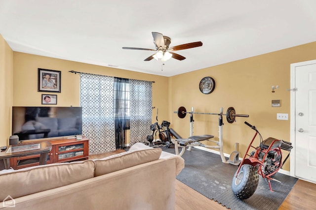 workout area featuring ceiling fan and wood-type flooring