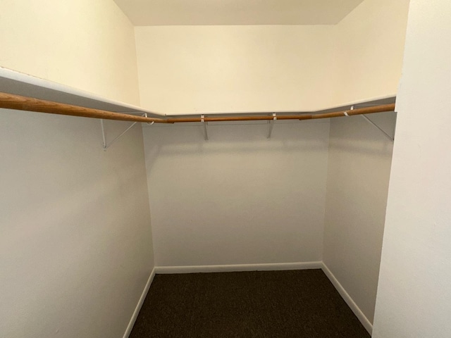 walk in closet featuring carpet