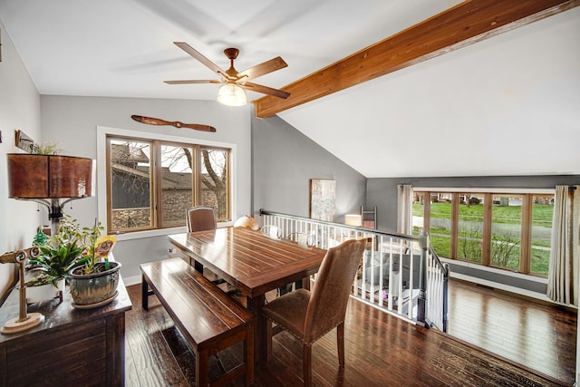 dining room with lofted ceiling with beams, a healthy amount of sunlight, and dark wood-type flooring