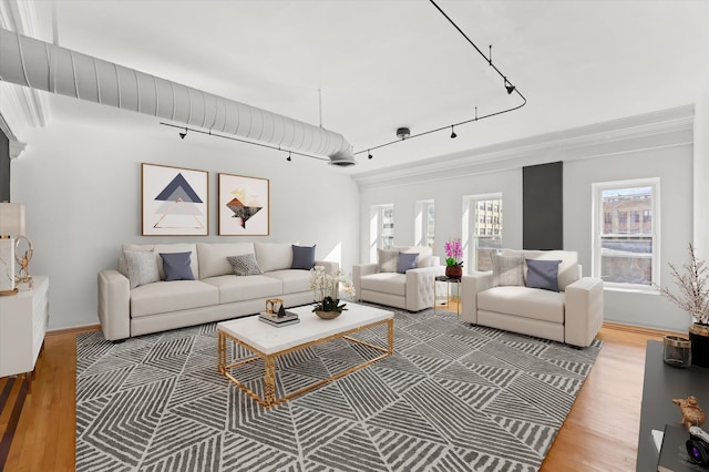 living room with hardwood / wood-style flooring and rail lighting