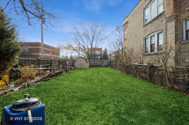 view of yard with a storage unit