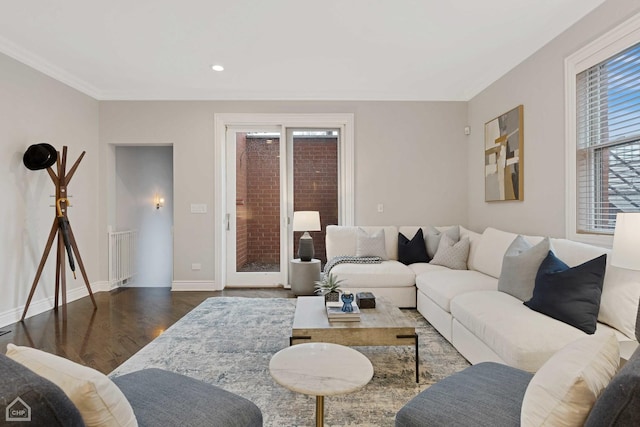 living room featuring radiator heating unit, ornamental molding, and dark hardwood / wood-style floors