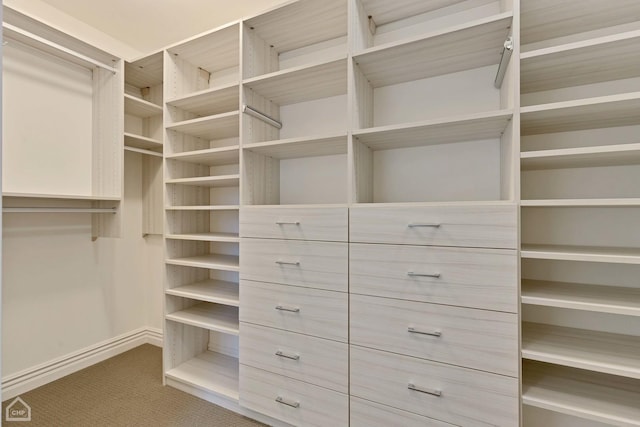 spacious closet with carpet flooring