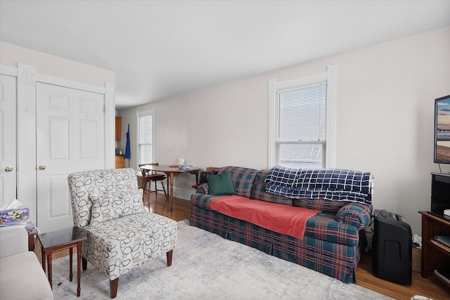 living room with hardwood / wood-style floors