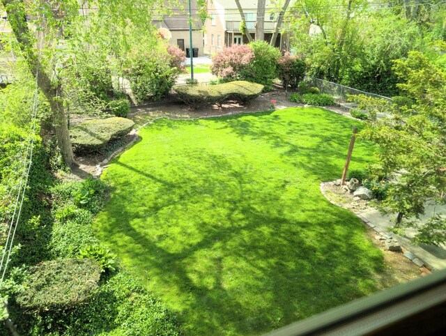 9018 S Oakley Ave, Chicago, IL 60643 - view of yard