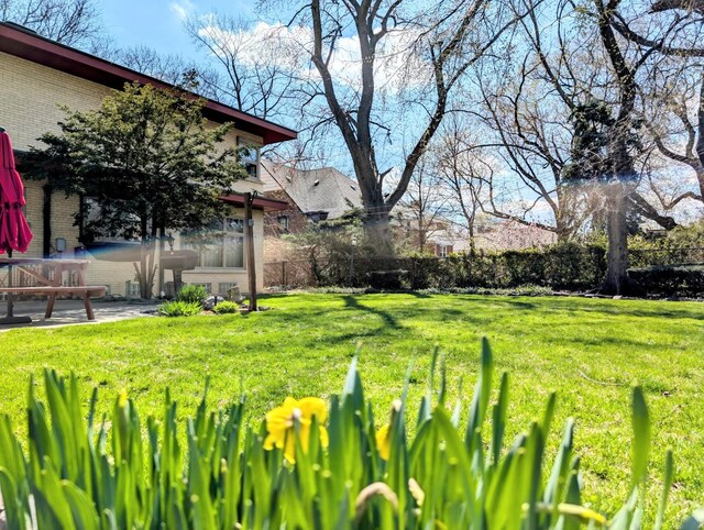 9018 S Oakley Ave, Chicago, IL 60643 - view of yard featuring a patio