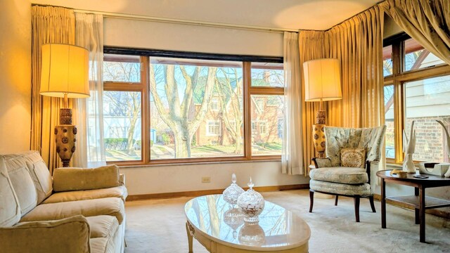 9018 S Oakley Ave, Chicago, IL 60643 - living area with carpet floors, healthy amount of natural light, and baseboards