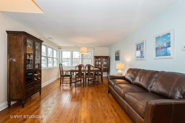 living room featuring hardwood / wood-style flooring