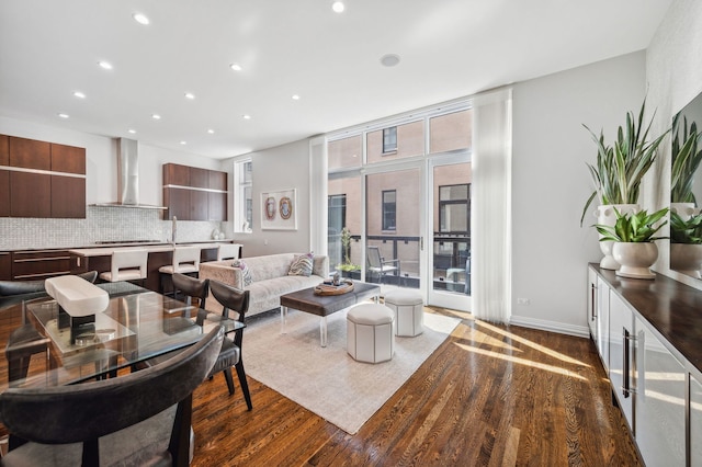 living room featuring dark wood-type flooring and sink