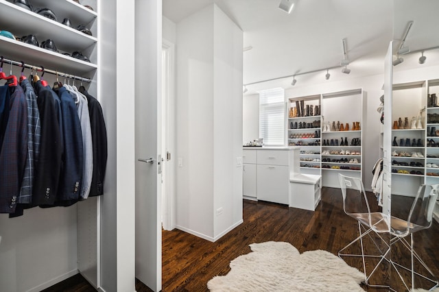 walk in closet featuring dark hardwood / wood-style floors