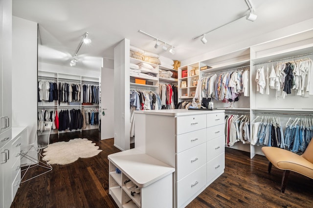 spacious closet featuring dark wood-type flooring