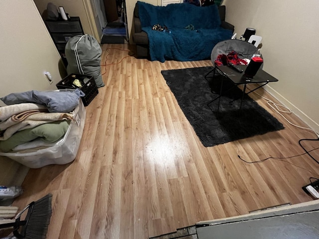 living room featuring wood-type flooring