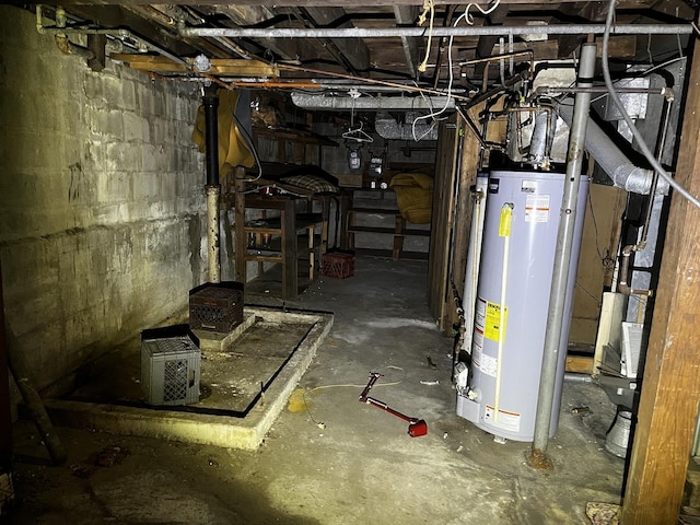 basement featuring gas water heater