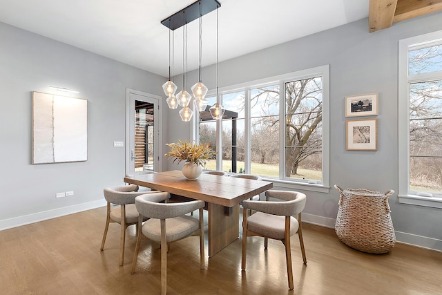 dining room featuring an inviting chandelier, a wealth of natural light, and light hardwood / wood-style flooring