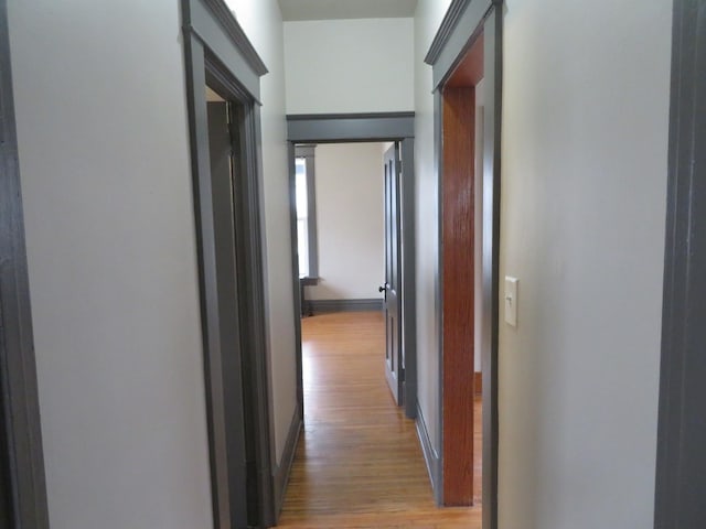 corridor with light wood-type flooring