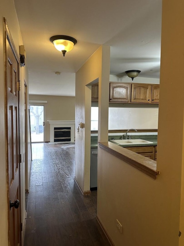 corridor with dark hardwood / wood-style flooring and sink