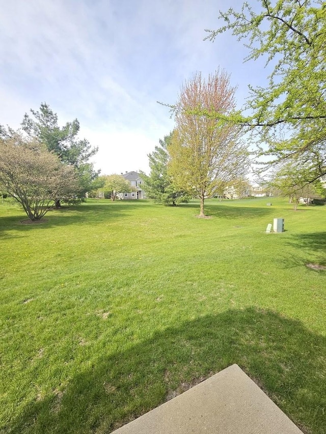 view of yard