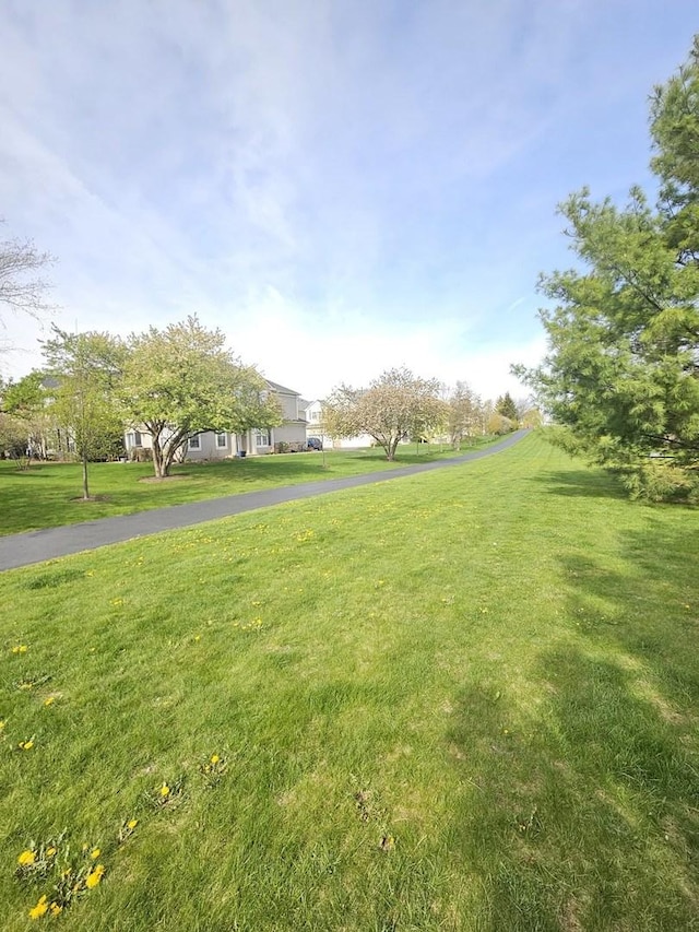 view of community with a lawn
