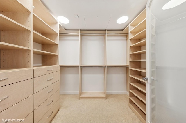 130 N Garland Ct Unit 4101, Chicago, IL 60602 - spacious closet featuring carpet