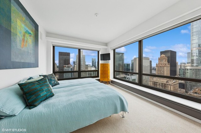 130 N Garland Ct Unit 4101, Chicago, IL 60602 - bedroom with carpet floors