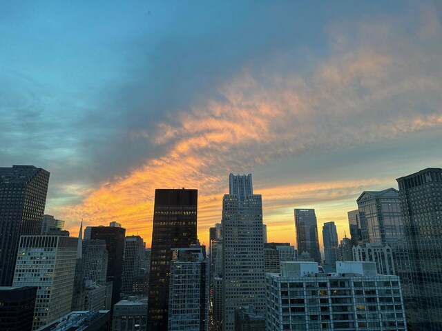 130 N Garland Ct Unit 4101, Chicago, IL 60602 - property's view of city