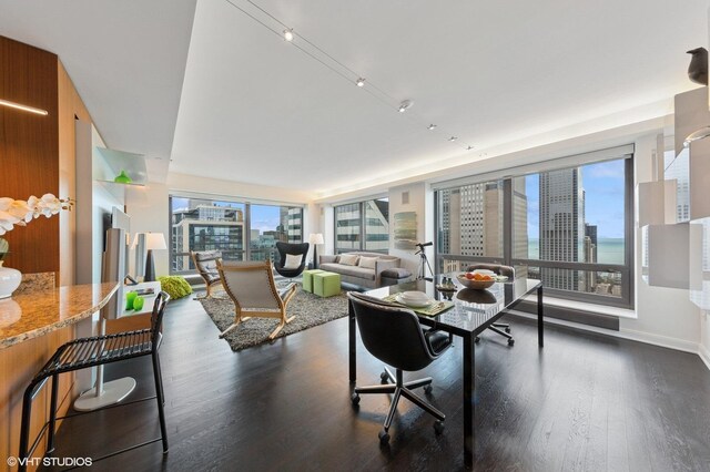 130 N Garland Ct Unit 4101, Chicago, IL 60602 - dining area featuring a view of city, dark wood-style flooring, and a wealth of natural light