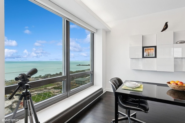130 N Garland Ct Unit 4101, Chicago, IL 60602 - home office with dark wood-style flooring, baseboards, and a water view