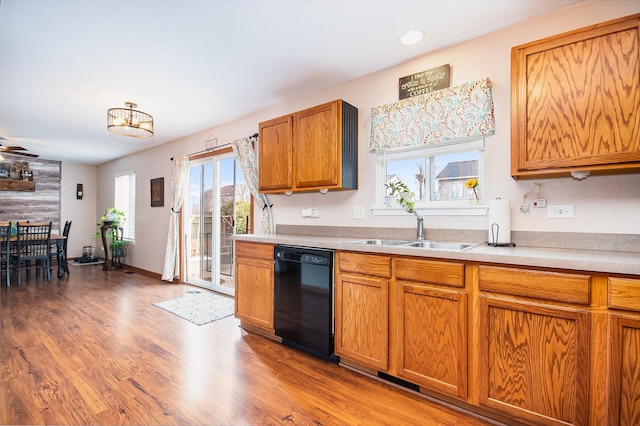 kitchen featuring black dishwasher, sink, and light wood-type flooring