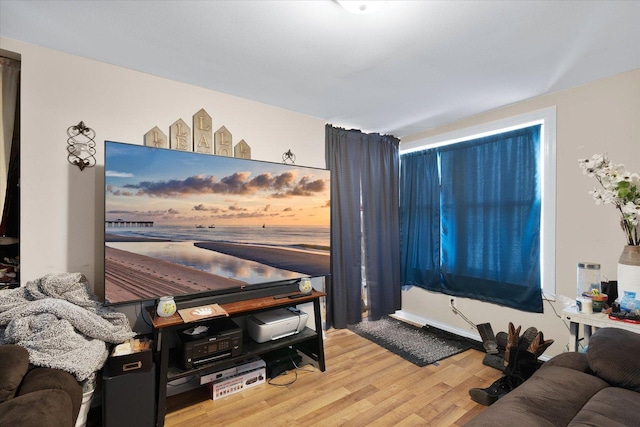 living room featuring hardwood / wood-style floors