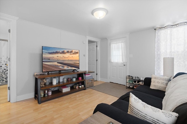 living room featuring hardwood / wood-style floors